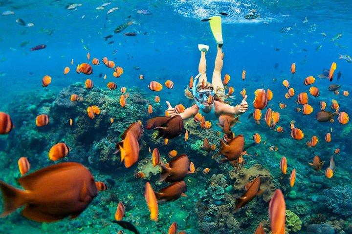 Snorkeling at Blue Lagoon Bali with Lunch and Transport