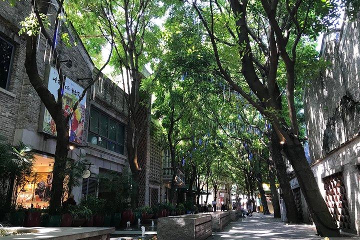 Foshan Classic Old Town Tour