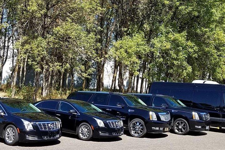 One Way Private Car From Hue City To Da Nang City
