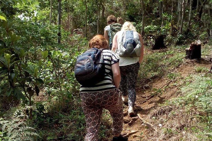 Day Trip To Lupanga Peak