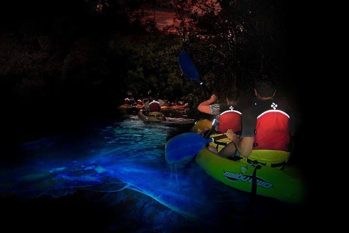 Two-in-One Day Trip: El Yunque and Bio Bay Tour with Transport