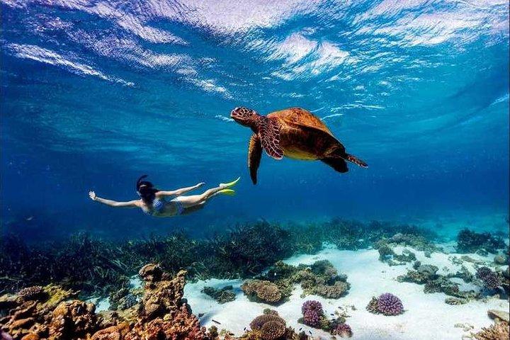 4 Days Diani Beach Holiday Package with SGR Train ( minimum 2 persons)