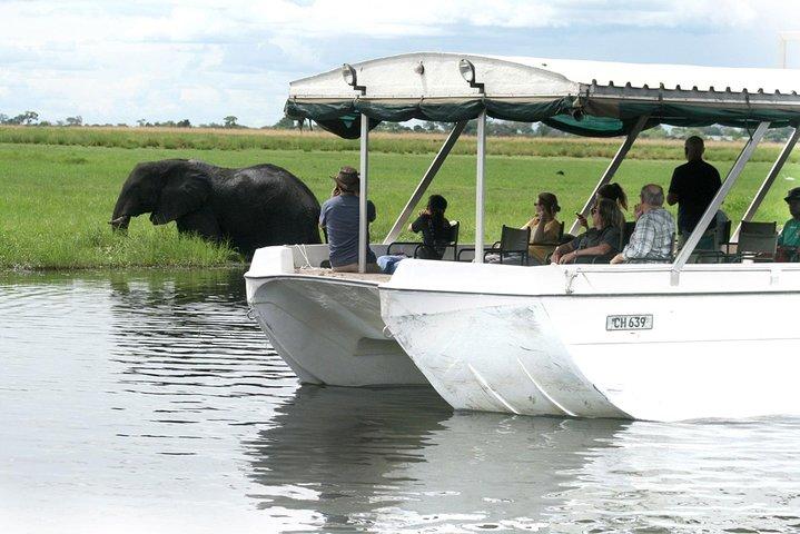 Chobe River Game Cruise