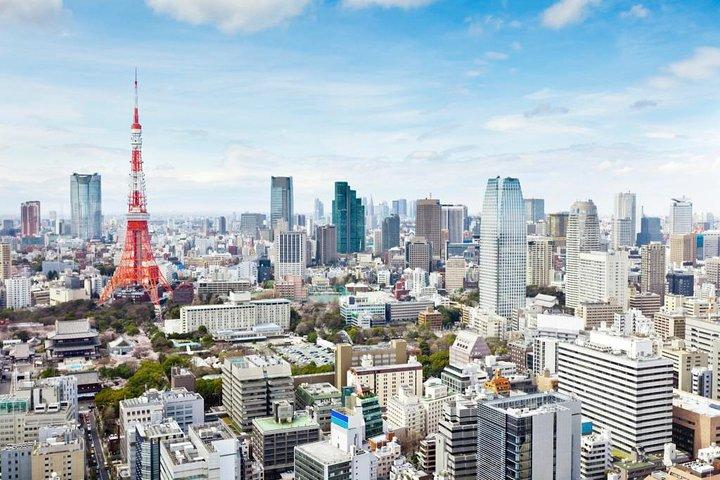 Tokyo 6hr Private Tour with Government-Licensed Guide