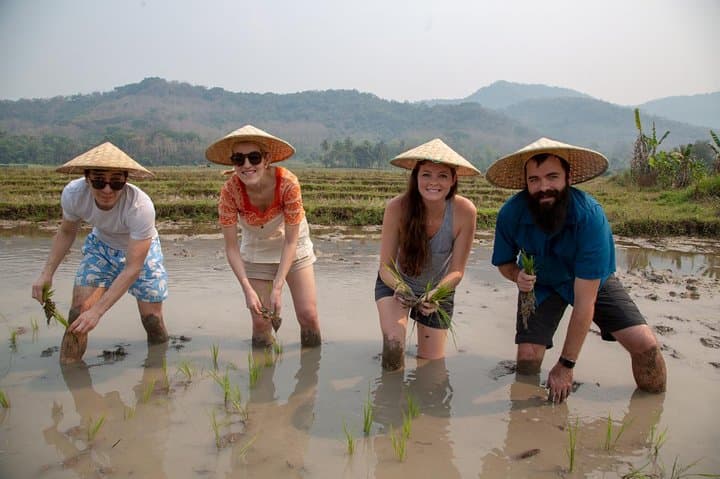 Luang Prabang: Kuang Si Waterfall & Rice Farm Tour