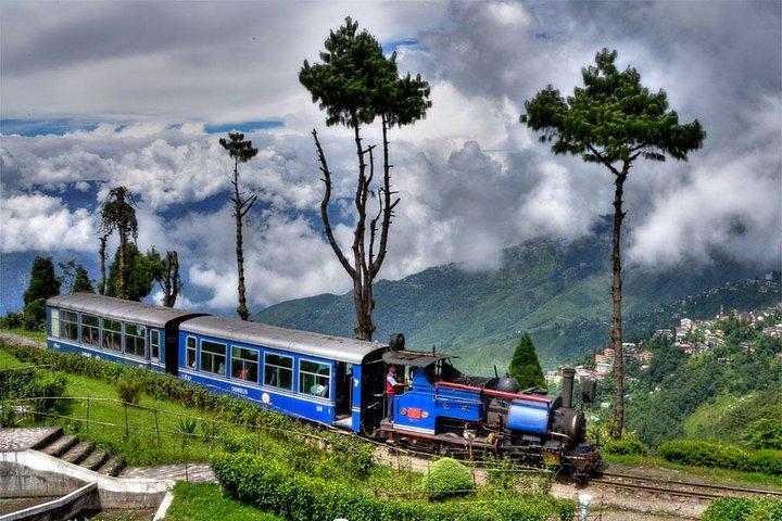 Affordable Transfer from Bagdogra to Gangtok