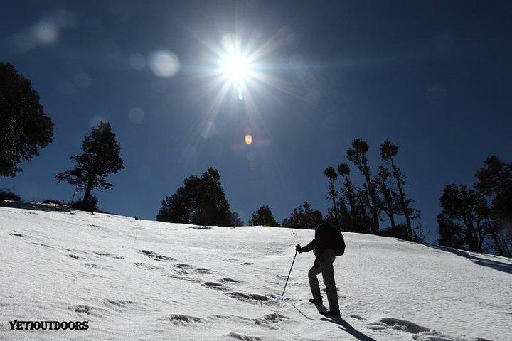 Naag Tibba Trek