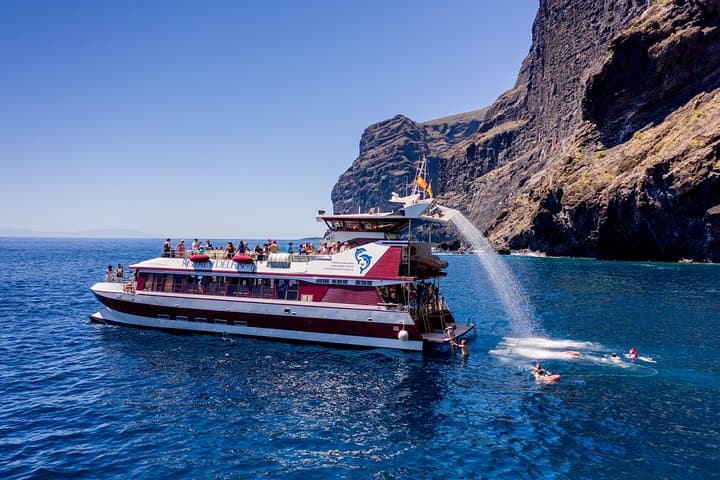 Dolphin and Whale Watching - Los Gigantes Masca - Lunch and Swim