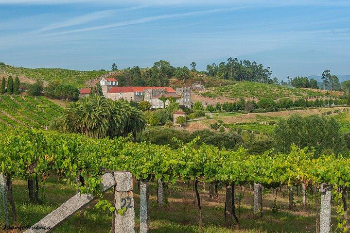 Albariño Private Wine Tour from Santiago de Compostela