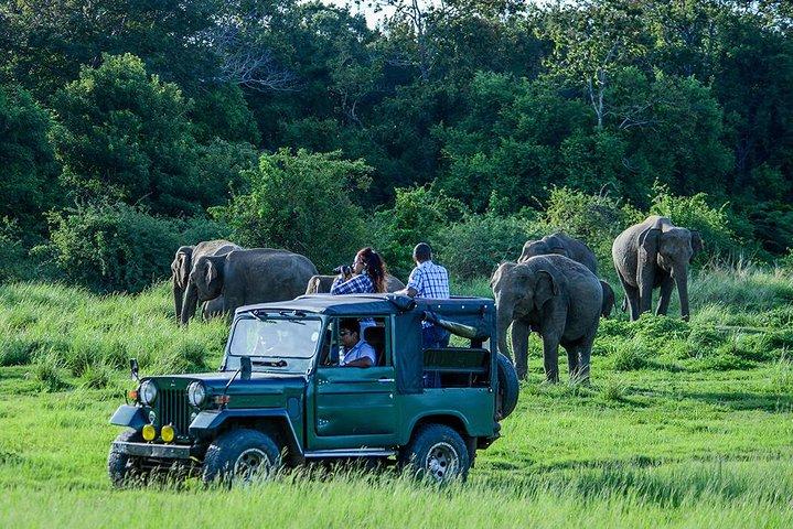 Udawalawe Private Safari frm Hambantota Port by BTM-All Inclusive