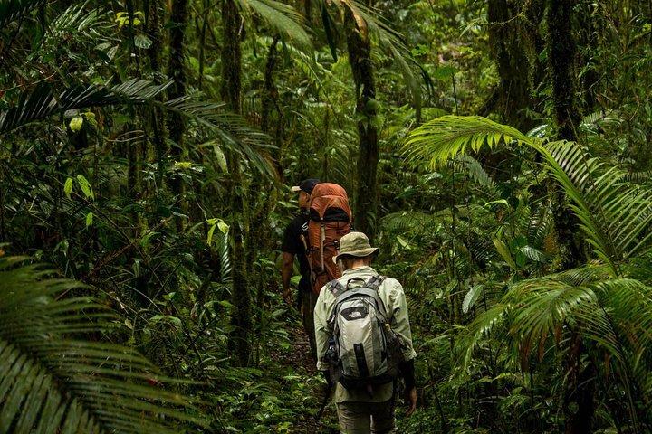Sulawesi Tangkoko National Park Private Tour