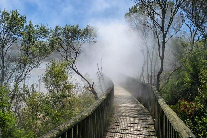 6.5 hour Small-Group Rotorua Naturally Shore Excursion - Tauranga