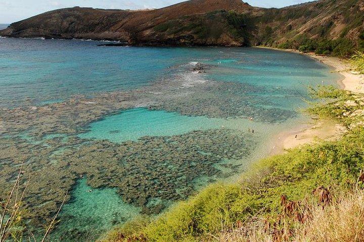 Hanauma Bay Snorkeling from Waikiki