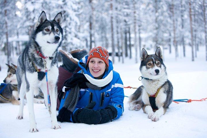 Lapland Reindeer and Husky Safari from Rovaniemi