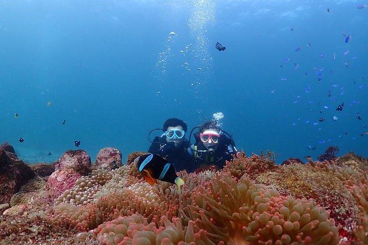 Scuba Diving (Fun Diving)