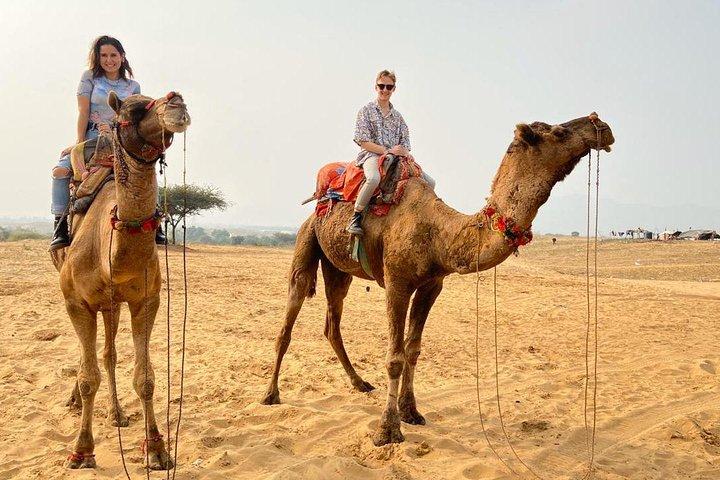 Pushkar Day Trip from Jaipur – Private Car, Safari, Guide & Lunch