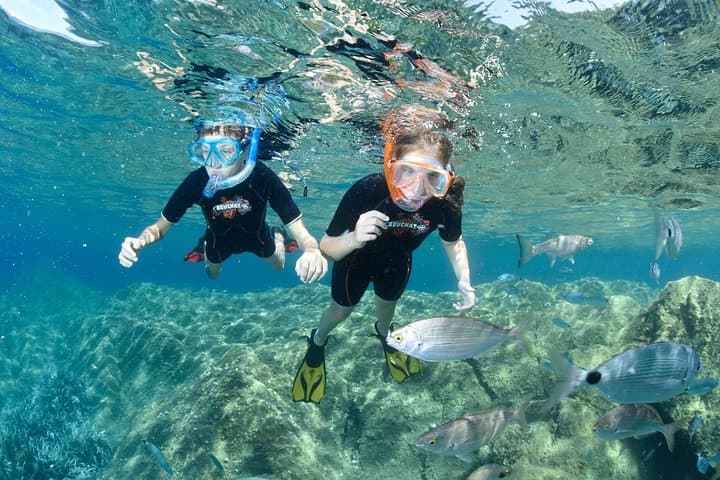Snorkeling - By boat on site in the Bay of Cannes or Estérel