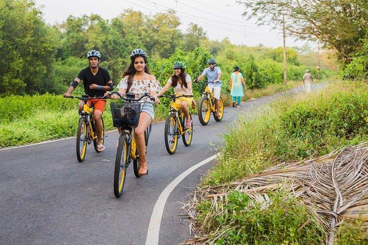BLive Electric Bike Tours – Discovery of Divar Island