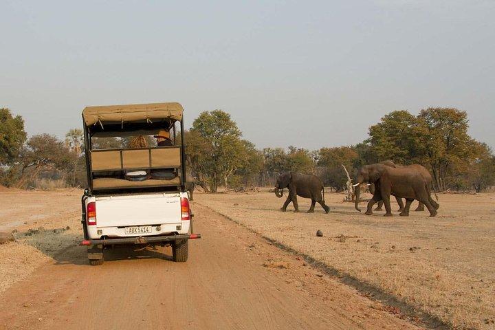 Game Drive and White Rhino Walking Safari in Livingstone