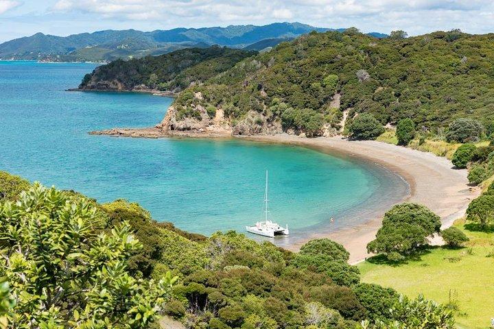 Island Hopper Day Cruise - sailing to wildlife sanctuary island - 6 hr cruise