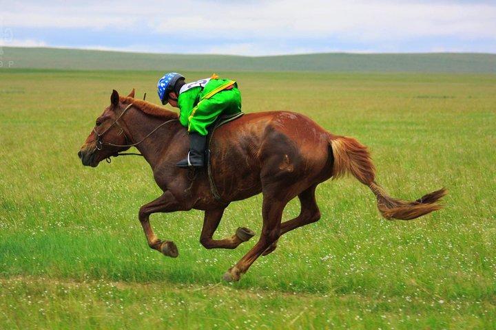 2 Day Naadam Festival Tour July 11-13, 2026