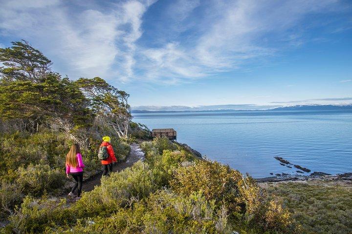 Cruises Shore Excursions : Highlights + Fort Bulnes