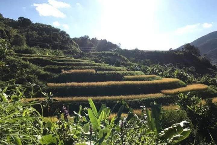 Hiking 2 days 1 night ,The pakheo trek