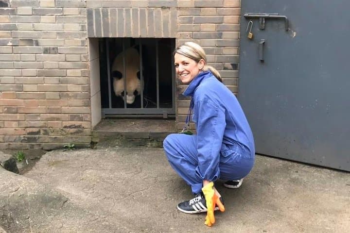 Private Full Day Panda Volunteer and Dujiangyan Irrigation System Tour