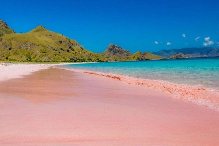 1 Day Komodo Trip by Private Speedboat