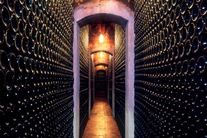 Visit and wine tasting at BODEGA PIRINEOS