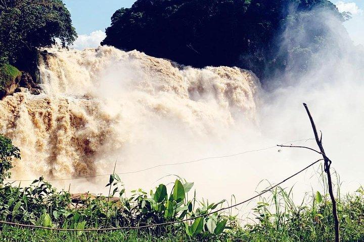 4 days Zongo falls, Bonobos and Kinshasa city experience