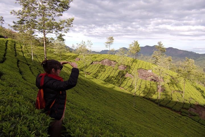Half day trekking (munnar valley Trekking & Tours )