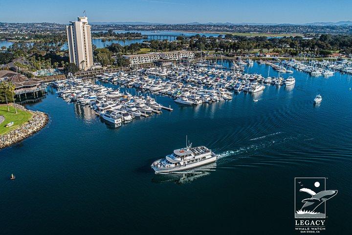 San Diego: 3 Hour Whale Watch Cruise with Legacy Whale Watch