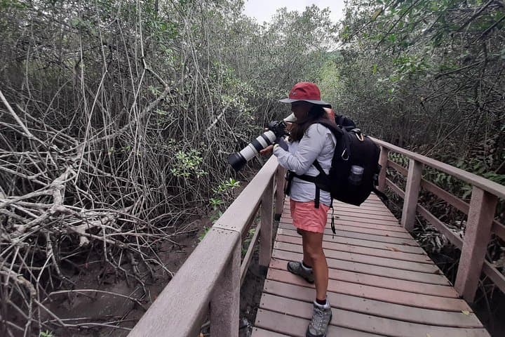 Full day to Ecological Reserve Churute Mangrove