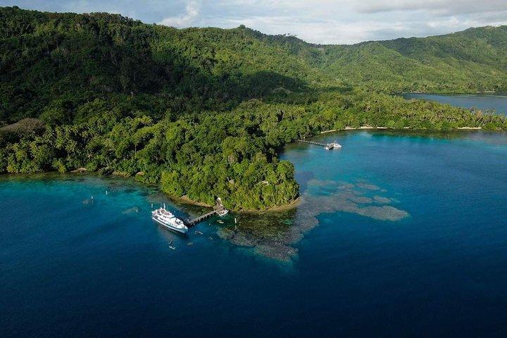 7 Nights Diving Tour in Milne Bay in Alotau