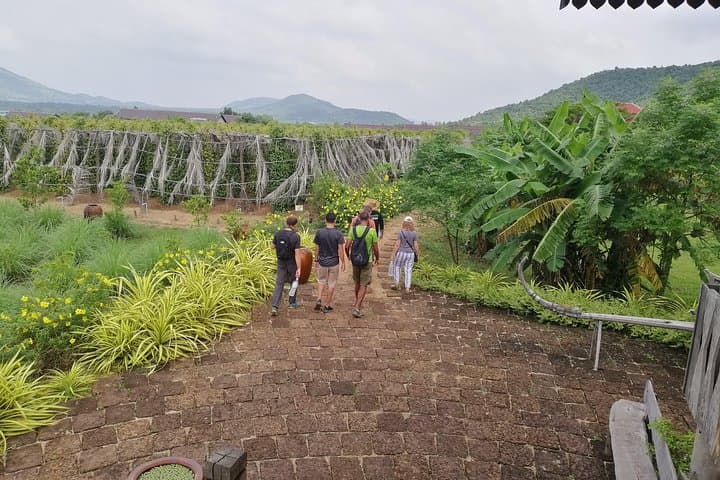 Kampot Pepper Tour, Salt Field, Cave Temple, Secret Lake