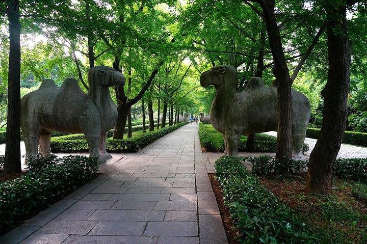 Nanjing Self-Guided Tour from Yangzhou with Private Car and Driver Service