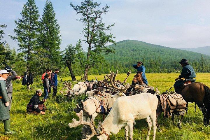 Wonders of Northern Mongolia 15 days