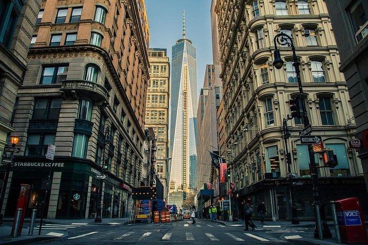New York City by yourself in Luxury SUV - 4 or 8 hrs disposal