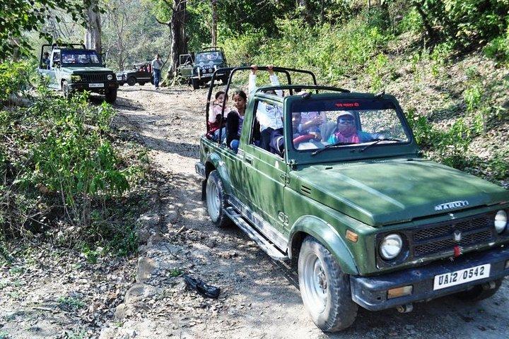 Rishikesh: Open Jeep Safari in Chilla Range, Rajaji National Park