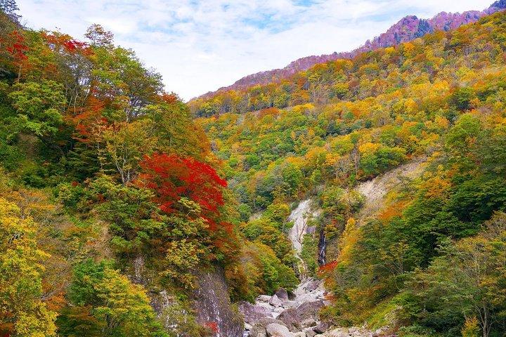 Niigata Private Customizable Full Day Tour