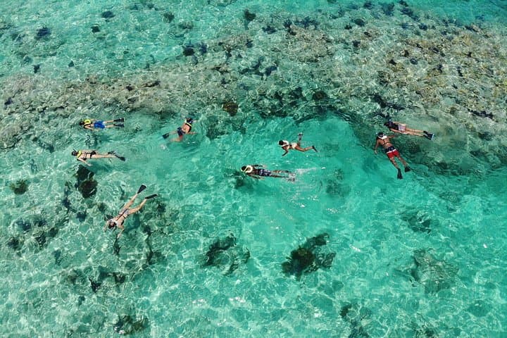 Key West 2 Reef Snorkel Tour & Sunset Cruise with Beer & Wine