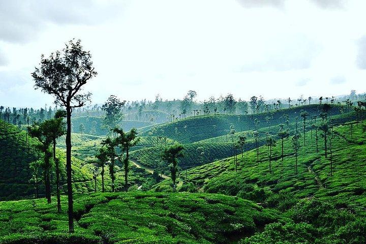 Hill Station Tour from Coimbatore to Valparai - 2 days