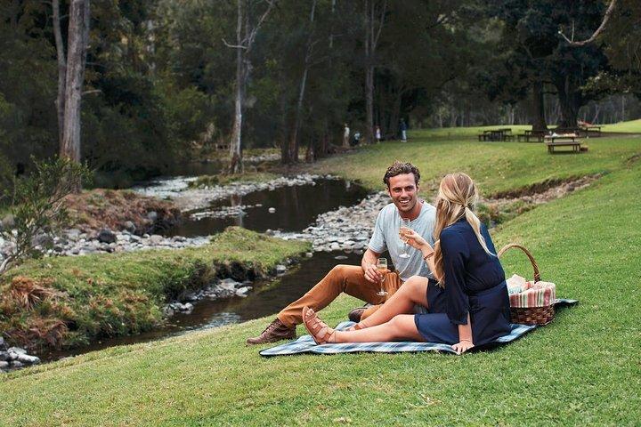 Boutique Luxury Winery Tour from Gold Coast - Maximum 6 Per Tour