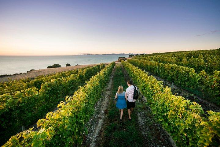 Private Marlborough Winery Tour