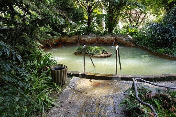 São Miguel Full Day Guided Tour to Furnas with Lunch Included