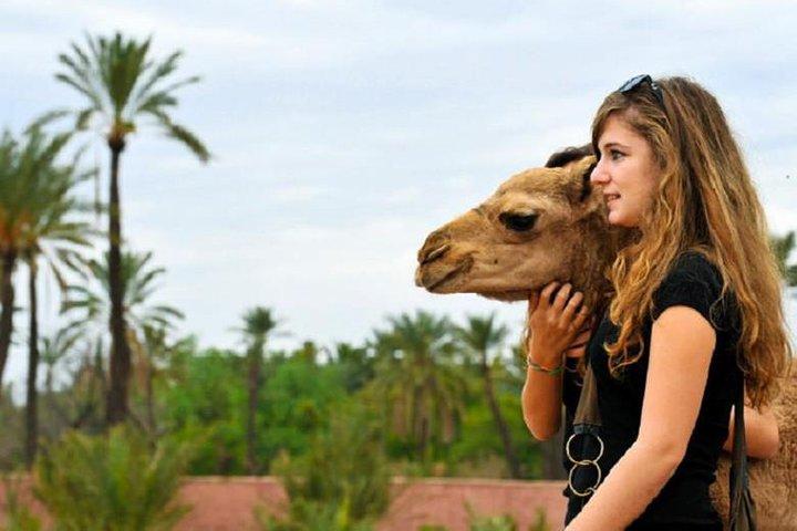 Desert Agafay and Atlas Mountains & Camel ride Day Trip From Marrakech