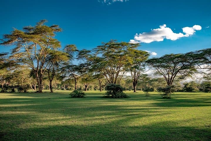 The best of Naivasha walking tour