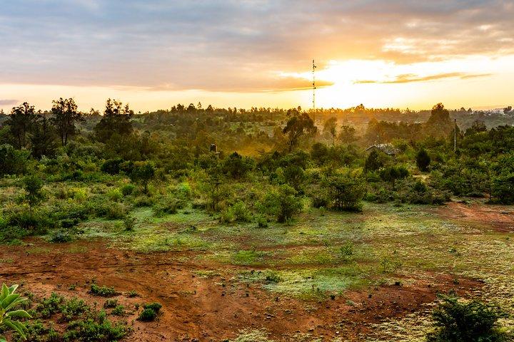 The Best Of Nanyuki Walking Tour