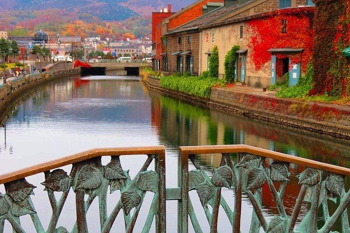 Otaru 4hr Private Trip with Government-Licensed Guide